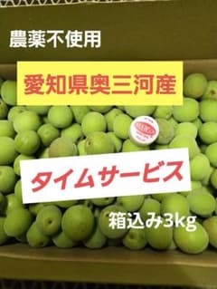 農薬不使用　愛知県東三河産 青梅　箱込み3kgのサムネイル