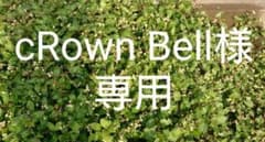 cRown Bell様専用のサムネイル