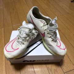 NIKEマックスフライ1 27cmのサムネイル