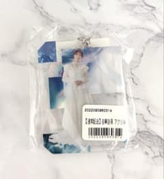 櫻坂46 田村保乃 自業自得 アクリルキーホルダー アクキー - メルカリ