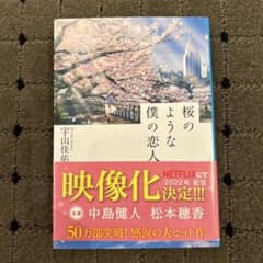 桜のような僕の恋人 宇山佳祐のサムネイル