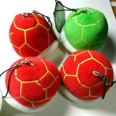 かめのこうらのサムネイル