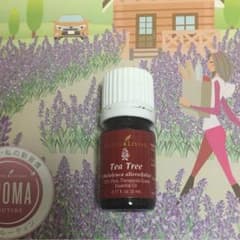 【あーみさま専用】【新品未開封】ティートゥリー5ml ヤングリヴィングのサムネイル