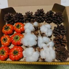 ソラナムパンプキン・松ぼっくり・コットン リース材料のサムネイル