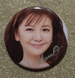 新品未使用】南野陽子40th コレクションバッジ④ - メルカリ