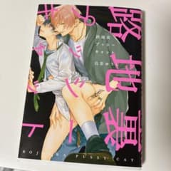 路地裏プッシーキャットのサムネイル