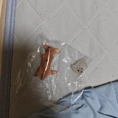 あにまる幽体さんぽ　だっくすたまのサムネイル