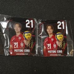バレーボール日本代表　永露元稀選手　トレーディングmini色紙、キーホルダー 永露元稀 バレーボール日本代表 アクリルキーホルダー 2個セット