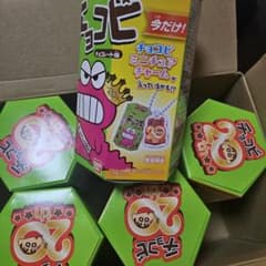 초코비 20주년 5개