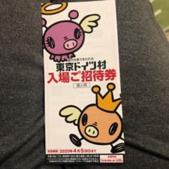 しおん様専用　東京ドイツ村入場券のサムネイル