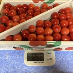 山形県産さくらんぼ 南陽 2〜3L 正規品のサムネイル