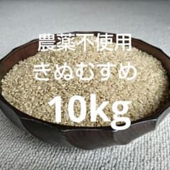 農薬不使用 令和7年度産 きぬむすめ玄米10㎏ 山口県産 - メルカリ