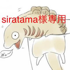 【siratama様専用】ゴシック調のセーターのサムネイル