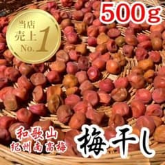 ◇農家直送！紀州南高梅 4000g 梅 無添加 和歌山 紀州 白梅 2908 ▽農家直送！紀州南高梅 500g 梅 無添加 和歌山 紀州 白梅 2909 - メルカリ