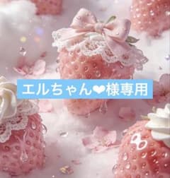 エルちゃん❤︎様専用☺︎ - メルカリ