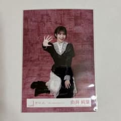 櫻坂46 生写真 5th Anniversary ドレス 向井純葉 座りのサムネイル