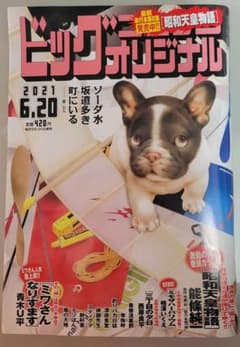 ビッグコミックオリジナル 2021年6/20号のサムネイル