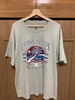 ヘインズ　プリントtシャツのサムネイル