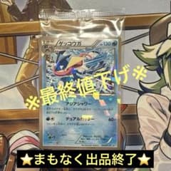 ポケモンカード　ゲッコウガ　209/XY-Ｐプロモ　ファミリーマート　未開封