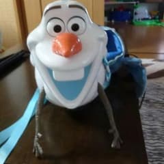 【専用です❢❢】オラフのポップコーンいれもののサムネイル