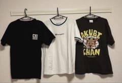 Tシャツ 3枚セット Carhartt/Champion/アクビちゃんのサムネイル