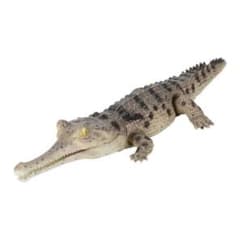 いきもの大図鑑　レプティ　ワニ　ガビアル　ライトのサムネイル