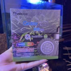 volxjapan GrassyLedio RS122 10000Kのサムネイル