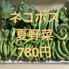 新鮮野菜詰め合わせ ネコポス 780円のサムネイル