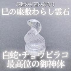 最高位】白蛇・チョウピラコ御神体霊石 水晶 座敷わらし 金運 最強