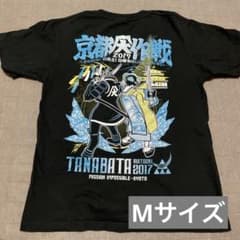 m41523912364_1.jpg?1725879077