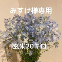 【みすけ様専用】のサムネイル