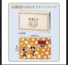 新品 ミッキー ミニー ディズニー ブランケットのサムネイル