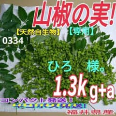 山椒の実（0334）自生物 1.3kg+a コンパクト満タン発送 福井県産 