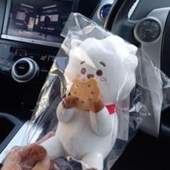 BT21一番くじ RJぬいぐるみのサムネイル