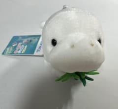 鳥羽水族館 オリジナル の〜んびりジュゴン マスコットのサムネイル