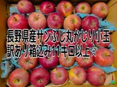 長野県産サンふじ　訳あり小玉11キロ以上のサムネイル