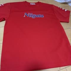 アリーナ　水泳　国体Tシャツ　新潟代表のサムネイル