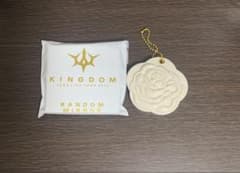 三代目 JSB KINGDOM ローズスライドミラー MATEのサムネイル