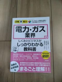 図解即戦力 電力・ガス業界のしくみとビジネスがこれ1冊でしっかりわかる教科書のサムネイル