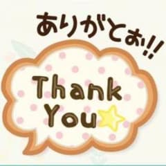 あめ様★専用ページ☆ソナーポケット　ハンド＆ペンライト☆のサムネイル