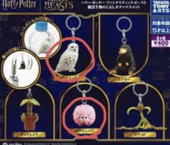 ハリー・ポッター/ファンタスティック・ビースト めじるし　ガチャガチャのサムネイル