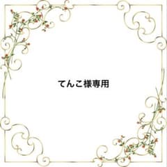 てんこ様 リクエスト 3点 まとめ商品 - メルカリ