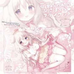 激レア☆꒰ঌしらたま 先生໒꒱B2 ダブルスエード タペストリー - メルカリ