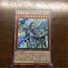 真龍剣皇マスターPシクのサムネイル