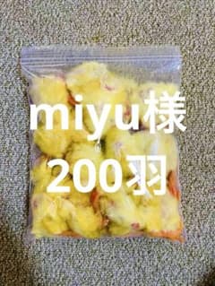 リピート購入、複数購入で＋10羽 送料無料 国産 新鮮安全 冷凍ひよこ