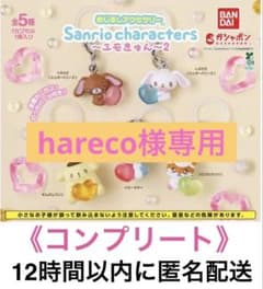 hareco様 リクエスト 2点 まとめ商品のサムネイル