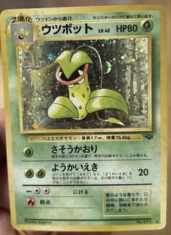 旧裏ポケカ☆渦巻ホロ・大玉ホロ ウツボットLv.42 「ポケモン