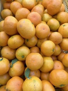 A級早生有田みかん10kgのサムネイル