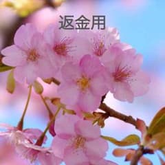 トゥモローランドクリーニング代のサムネイル
