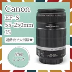 ✨️Canon EF-S 55-250mm IS 望遠レンズ 一眼レフカメラ - メルカリ